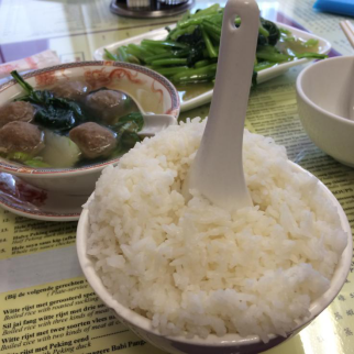 一個女漢子的留學畢業(yè)旅行之荷蘭阿姆斯特丹和鹿特丹-東莞英凱教育